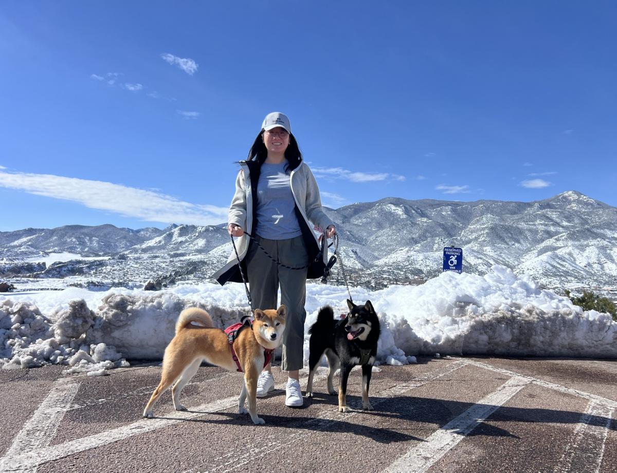 Professor with pet dogs