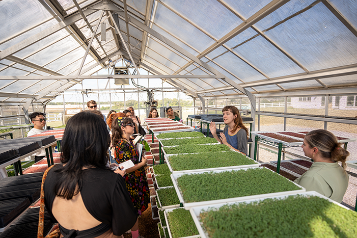 LEADERSHIP IN SUSTAINABLE FOOD AND FIBER